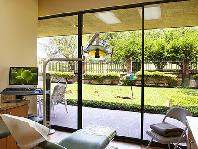 Beautiful green garden visible through the dental office window