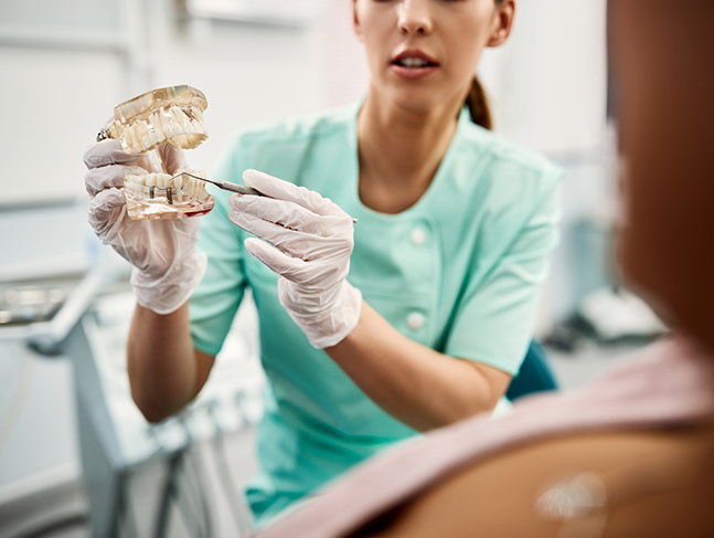 Dentist showing a model of the teeth to a patient