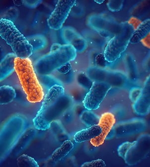 Illustration of bacteria