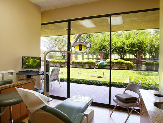 Green yard visible through the window of a dental exam room