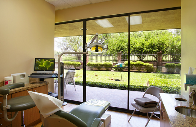 Green yard visible through the window of a dental exam room
